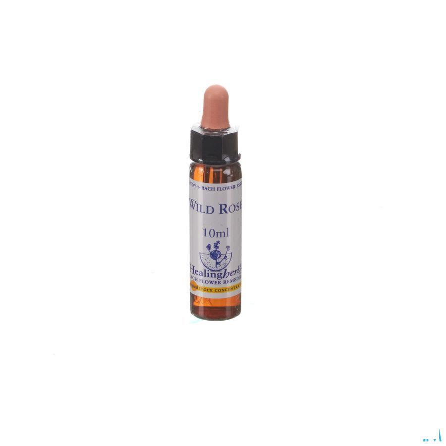 Healing Herbs Wild Rose 10 ml