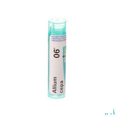 Allium Cepa 6k Gr 4g  -  Boiron