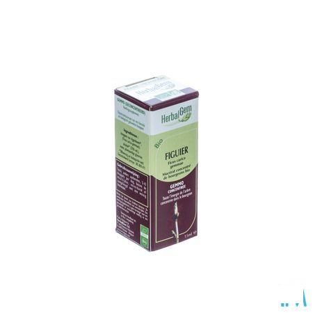 Herbalgem Vijgenboom Maceraat 15 ml  -  Herbalgem