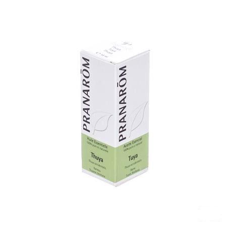 Thuya Huile Essentielle 10 ml  -  Pranarom