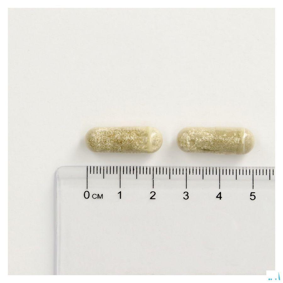 Promagnor Relaxation Capsule 60