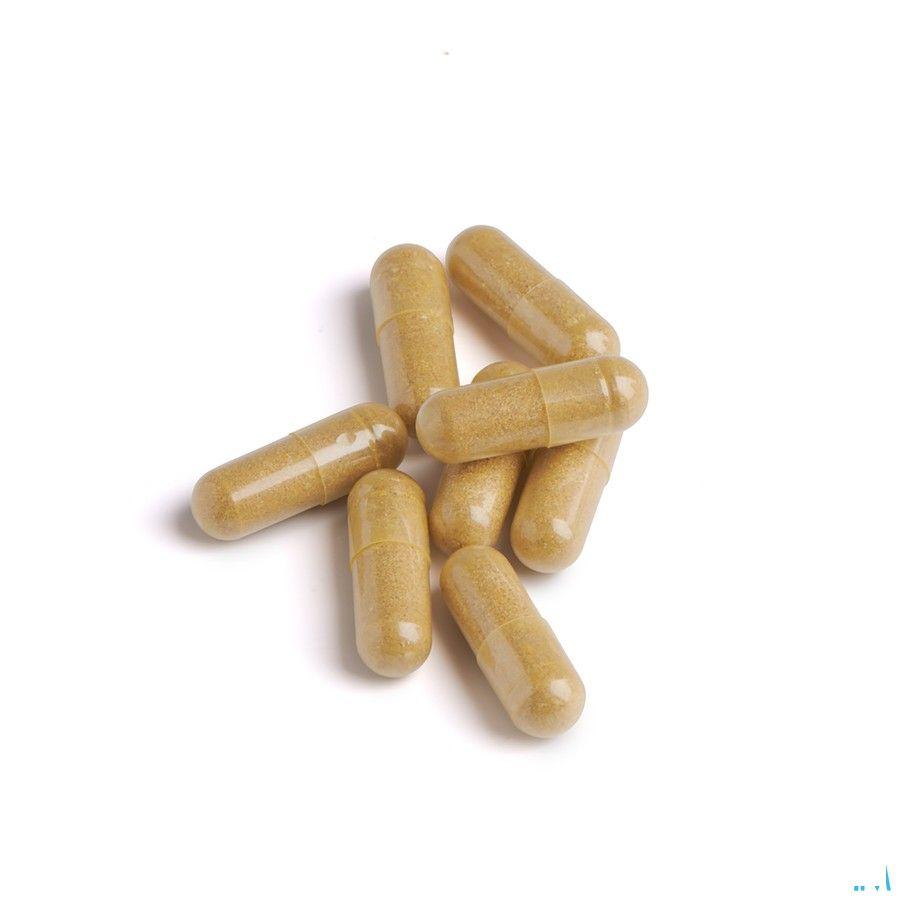 Biotics Glycozyme Forte 90 capsules  -  Energetica Natura