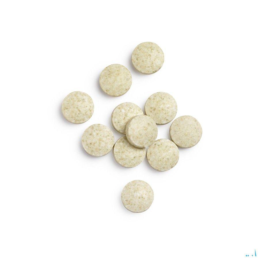 Biotics Zn-Zyme Forte 100 tabletten  -  Energetica Natura