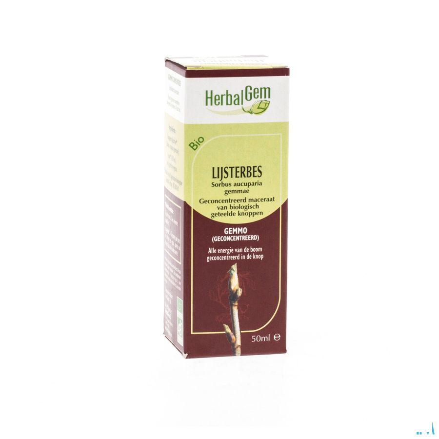 Herbalgem Lijsterbes Maceraat 50 ml  -  Herbalgem