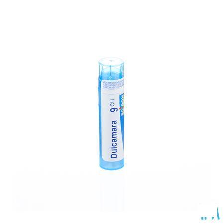 Dulcamara 9CH Gr 4g  -  Boiron