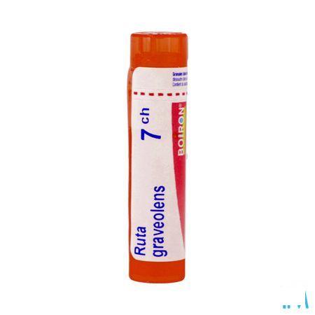 Ruta Graveolens 7CH Gr 4g  -  Boiron