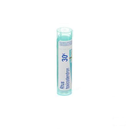 Rhus Toxicodendron 30K Gr 4g  -  Boiron
