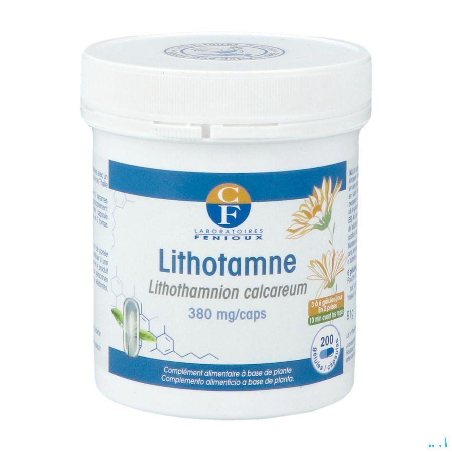 Lithotame Capsule 200  -  Fenioux