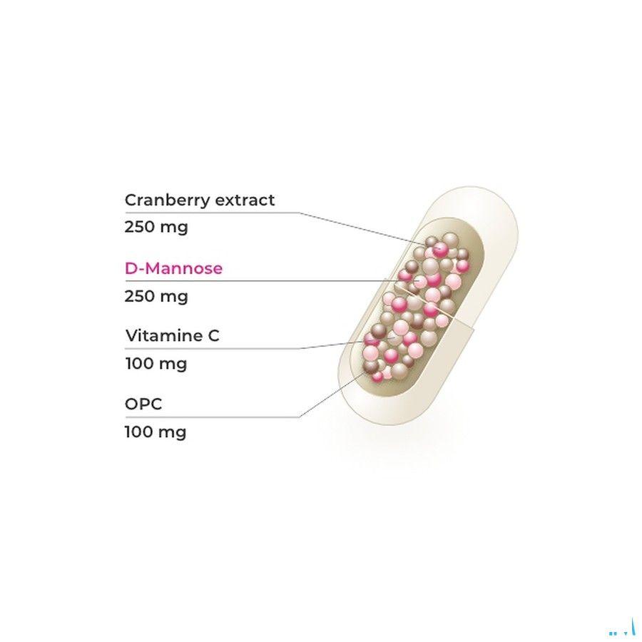 Cranber Plus Tabletten 60 Pharmanutrics  -  Pharmanutrics