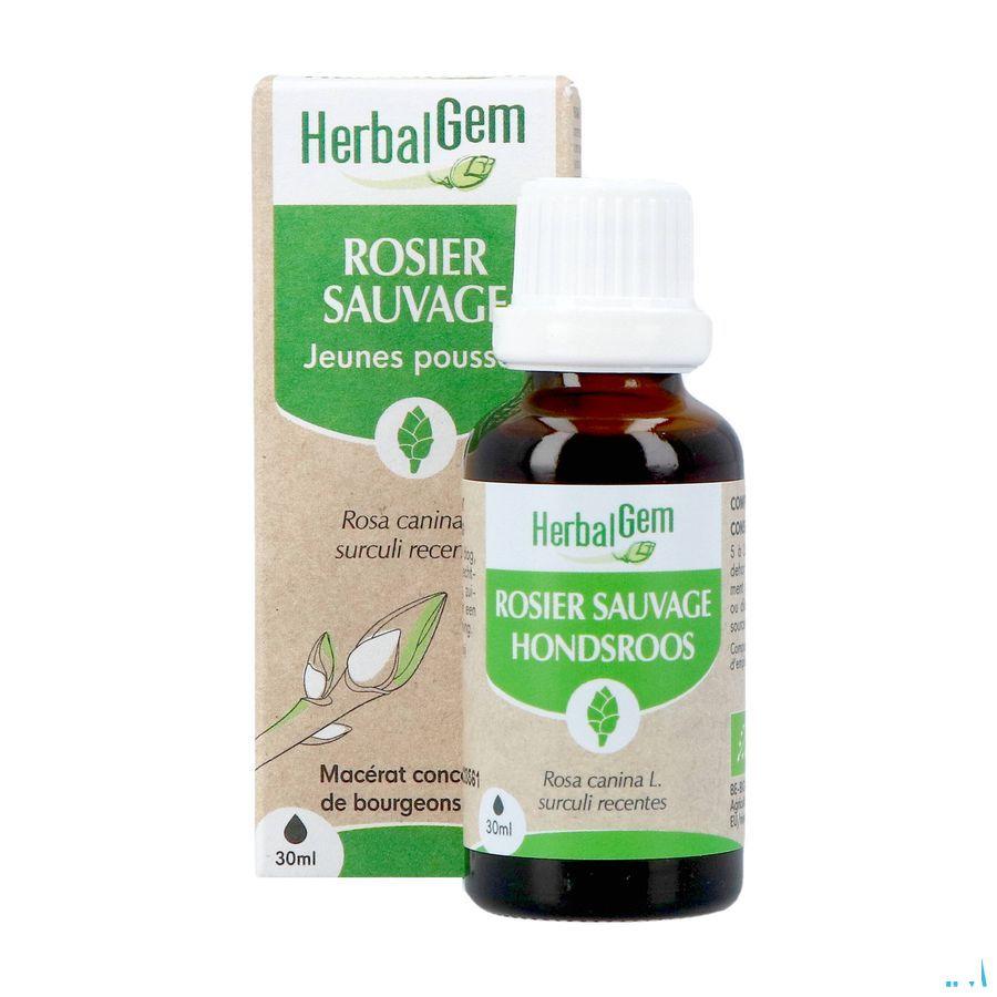Herbalgem Rosier Sa Bio 30 ml