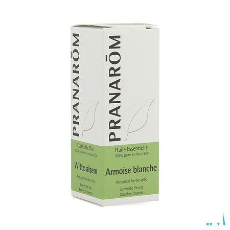 Armoise Blanche Huile Essentielle 10 ml  -  Pranarom