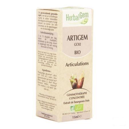 Herbalgem Artigem Complex 15 ml  -  Herbalgem