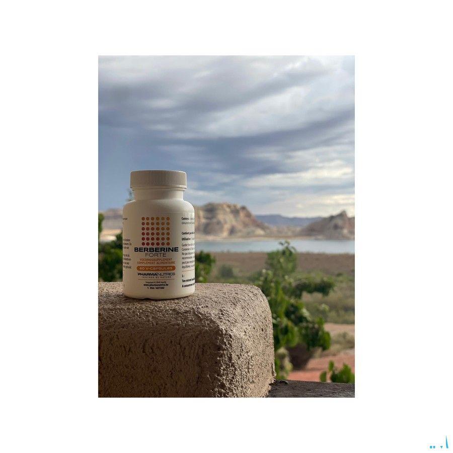 Berberine Forte V-Caps 60 Pharmanutrics