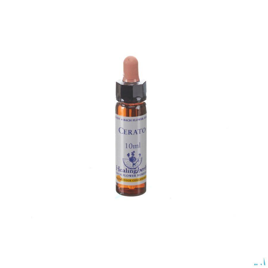 Healing Herbs Cerato 10 ml