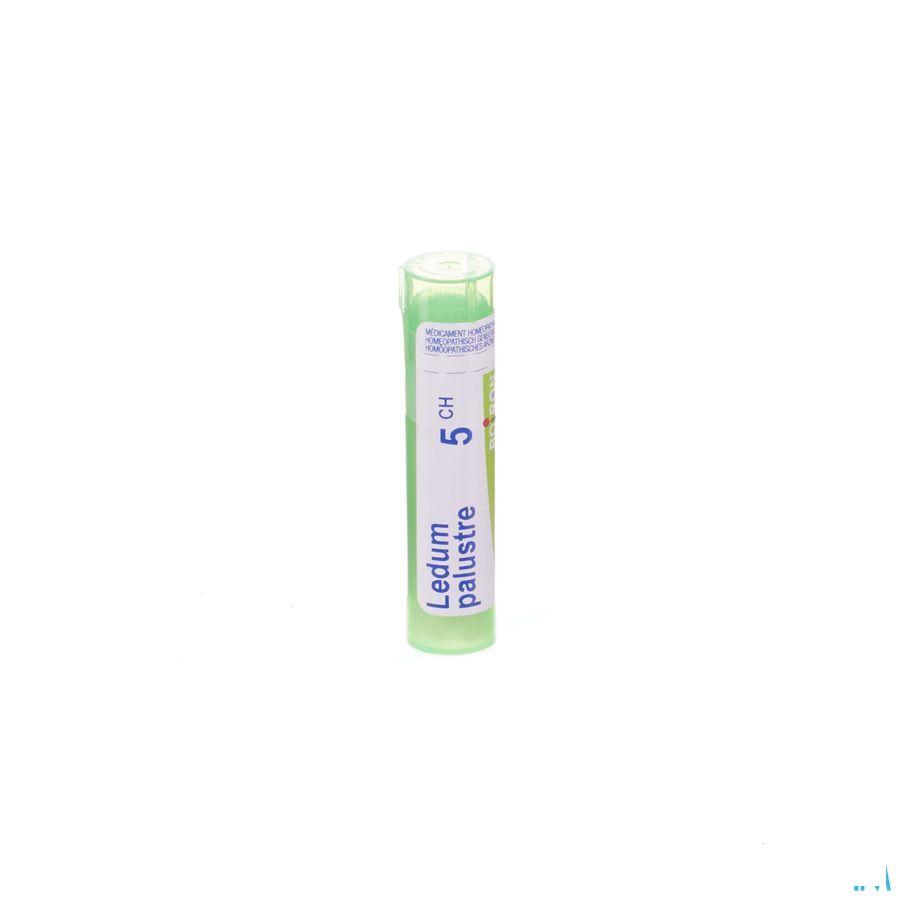 Ledum Palustre 5CH Gr 4g  -  Boiron