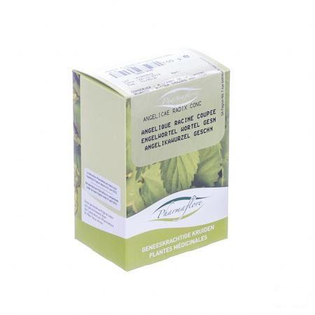 Engelwortel Wortel Doos 100 gr  -  Fagron