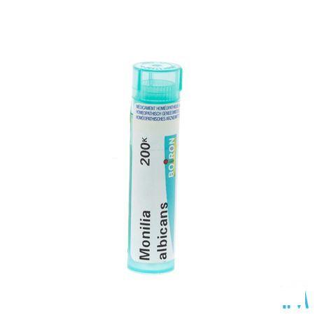 Rhus Toxicodendron 7CH Gr 4g  -  Boiron
