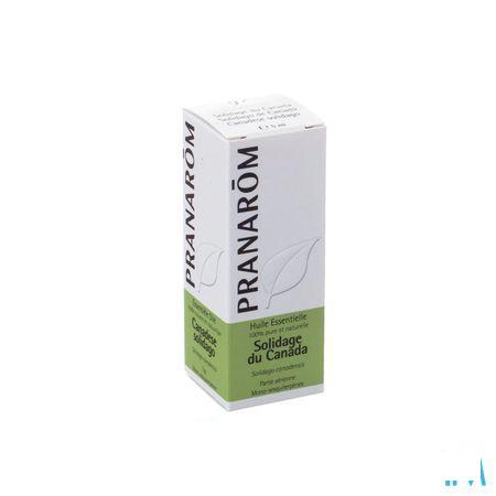 Solidage Du Canada Huile Essentielle 5 ml  -  Pranarom