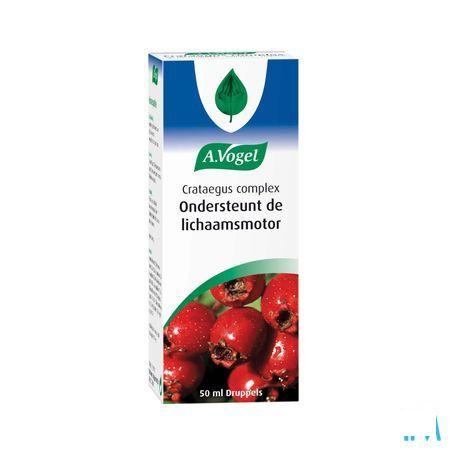 Vogel Crataegus Complex Gouttes 50 ml  -  A.vogel