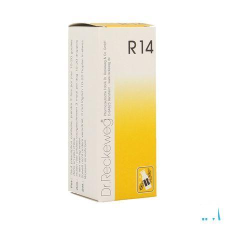 Reckeweg Dr. R14 Druppels 50 ml  -  Nut-Hom-Phyt