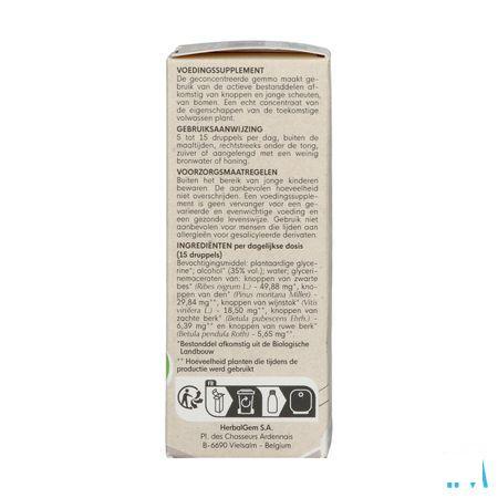 Herbalgem Artigem Bio 30 ml