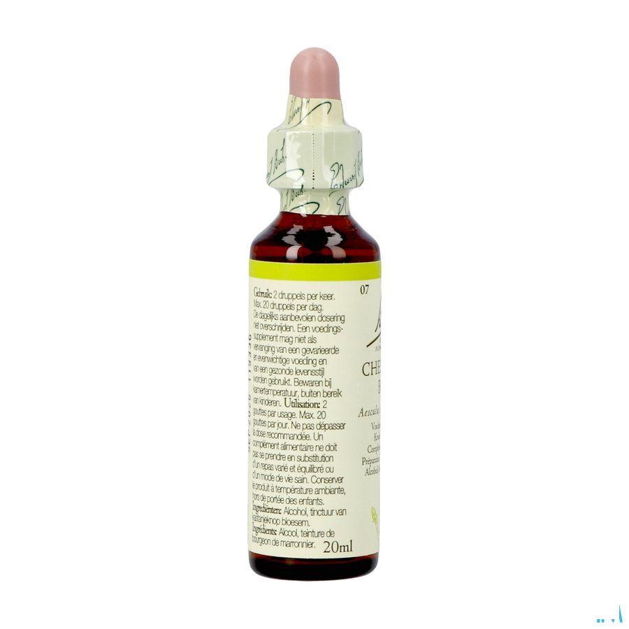 Bach Flower Remedie 07 Chestnut Bud 20 ml