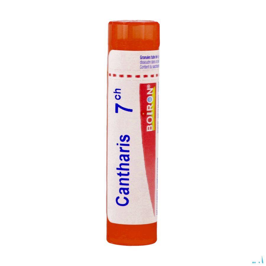 Cantharis 7CH Gr 4g  -  Boiron