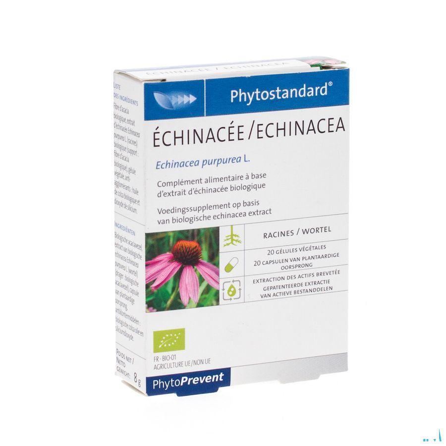 Phytostandard Echinacea Capsule 20  -  Pileje