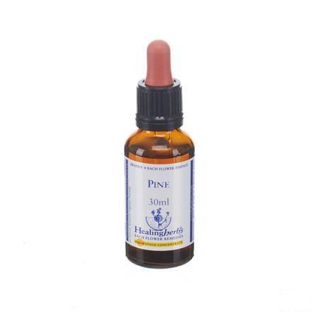 Healing Herbs Pine 30 ml