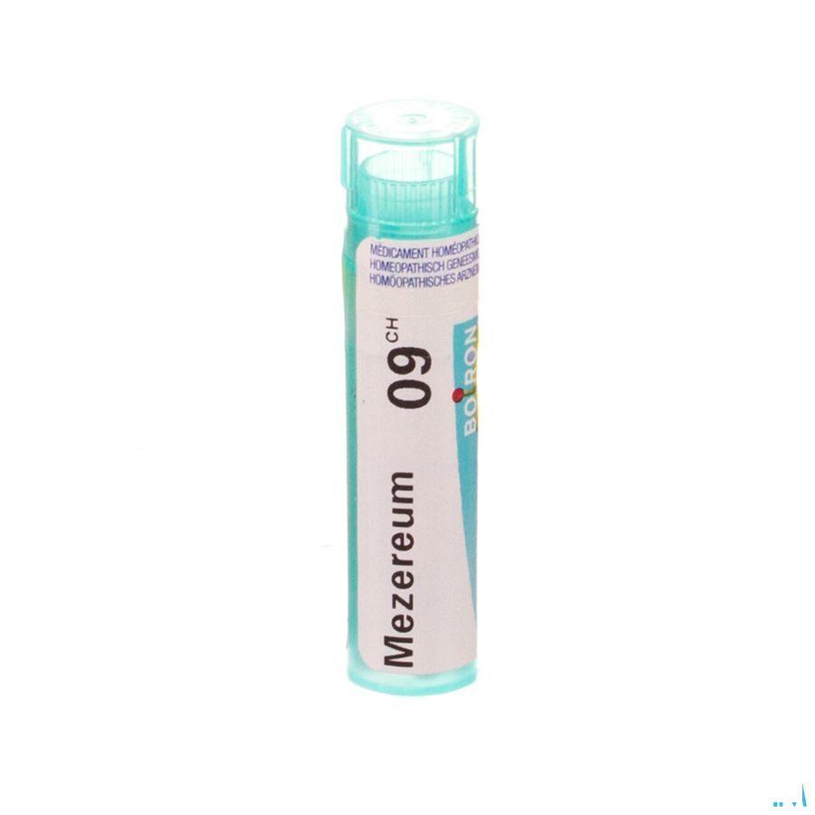 Mezereum 9CH Gr 4g  -  Boiron