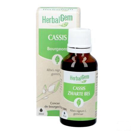 Herbalgem Zwarte Bes Maceraat 30 ml  -  Herbalgem