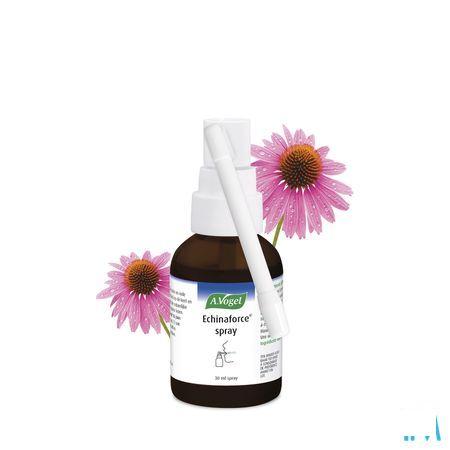 Vogel Echinaforce Spray Immunite 30 ml  -  A.vogel