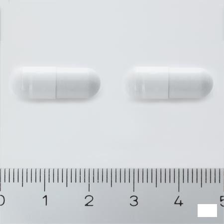 Dynatonic Energy + Capsule 120