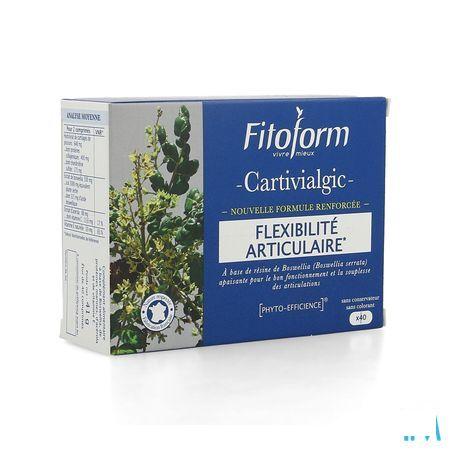 Cartivial+ Gewrichtscomfort Comp 40 Fitoform  -  Bioholistic Diffusion