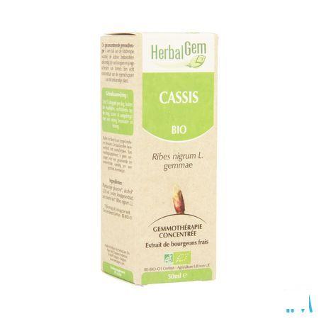 Herbalgem Zwarte Bes Maceraat 50 ml  -  Herbalgem