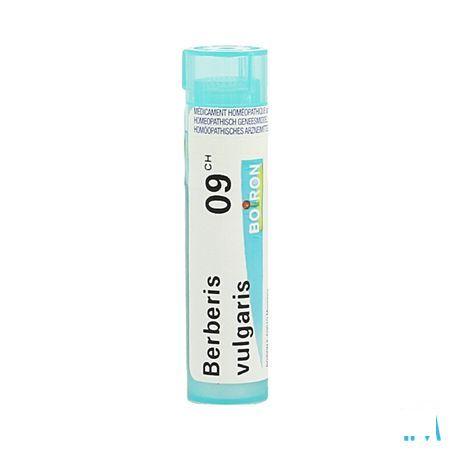 Berberis Vulgaris 9CH Gr 4g  -  Boiron