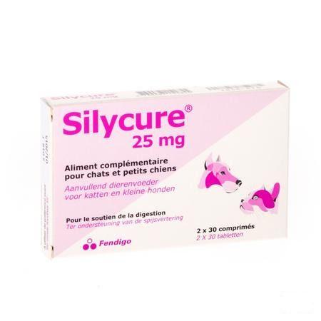 Silycure Comprimes 2x30x25 mg Blister  -  Fendigo