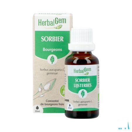Herbalgem Lijsterbes Bio 30 ml