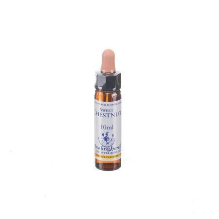 Healing Herbs Sweet Chestnut 10 ml
