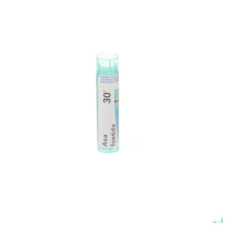 Asa Foetida 30K Gr 4g  -  Boiron