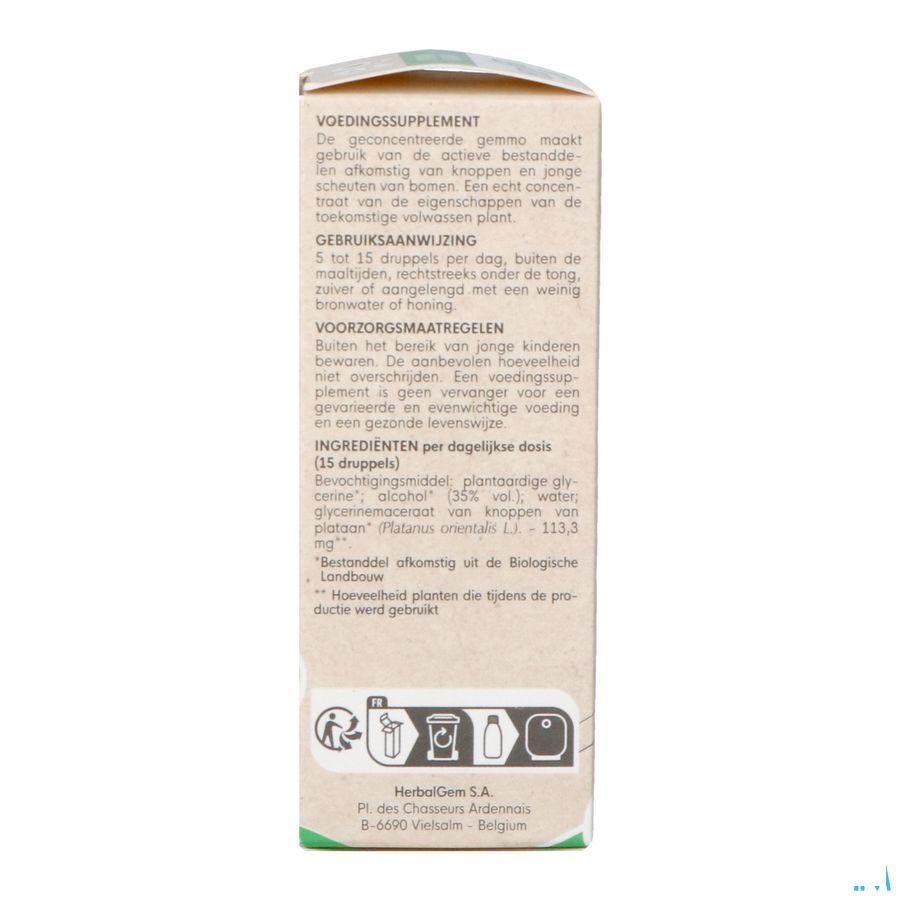 Herbalgem Platane Bio 30 ml