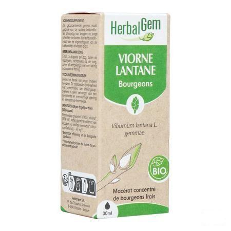 Herbalgem Viorne Bio 30 ml