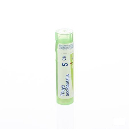 Thuya Occidentalis 5CH Gr 4g  -  Boiron