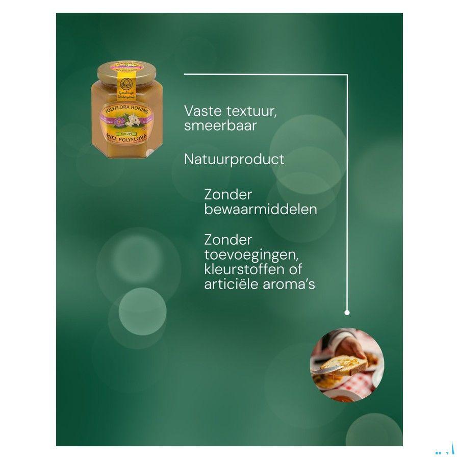 Melapi Polyflora + gelee Royale 500 gr 5534  -  Revogan
