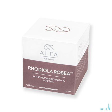 Alfa Rhodiola Rosea 500 mg V-Capsule 60  -  Nutrifarma