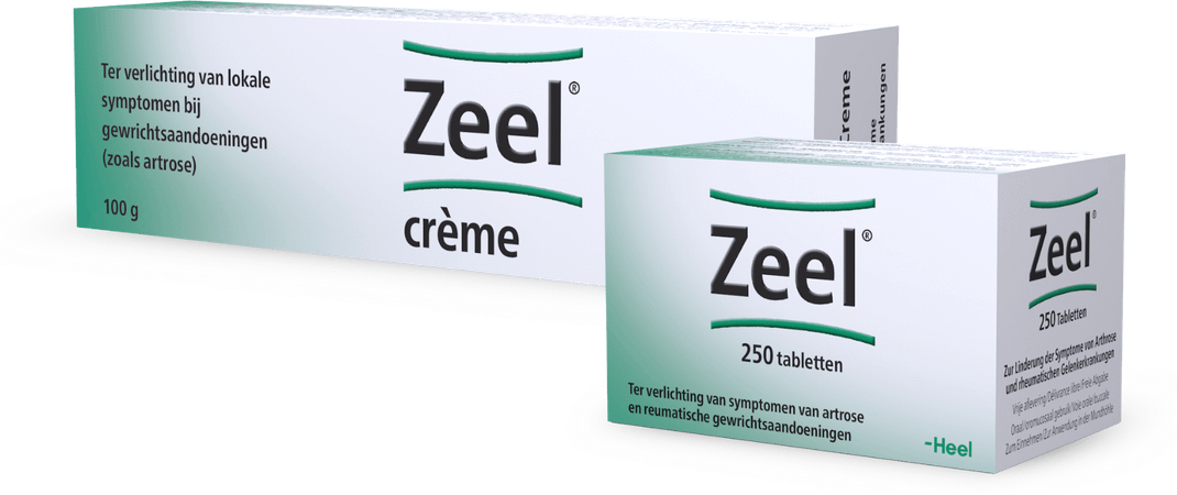 Zeel Tabletten 250  -  Heel