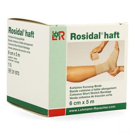 Rosidal Haft Cohesieve Windel 6cmx5m 1 31973  -  Lohmann & Rauscher
