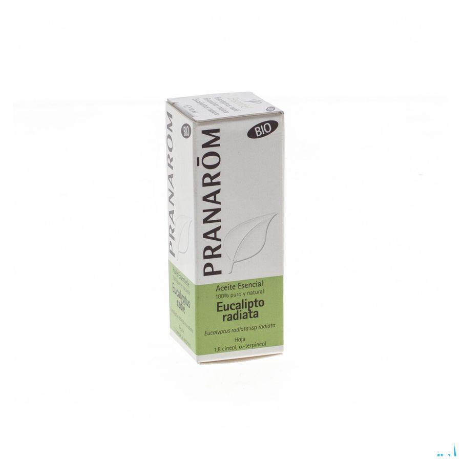 Eucalyptus Radie Bio Essentiele Olie 10 ml  -  Pranarom
