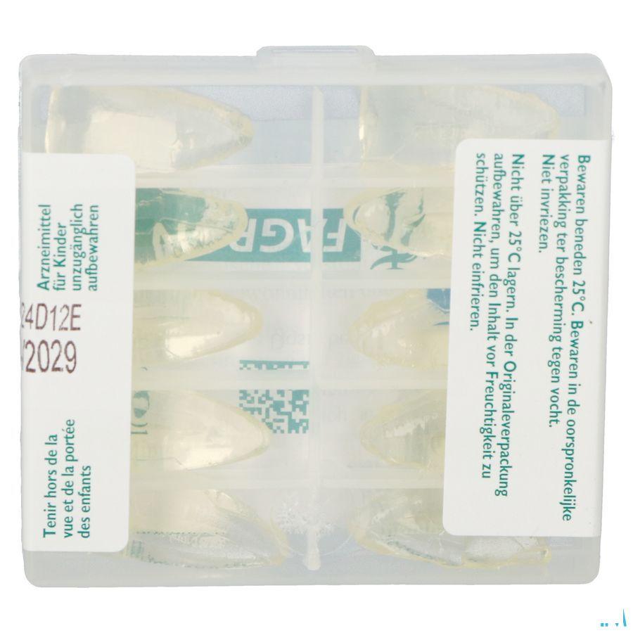 Glycerine Suppo Kind 10  -  Fagron