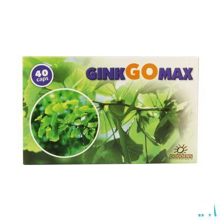 Ginkgomax Capsule 40